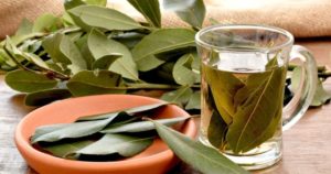 Té de laurel: propiedades y beneficios para adelgazar rápido imagen-3