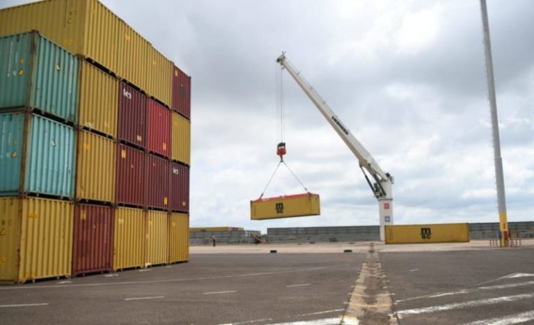 Primera exportación del año desde el puerto de Posadas: madera y pasta celulosa a Asia, Europa y Estados Unidos imagen-5