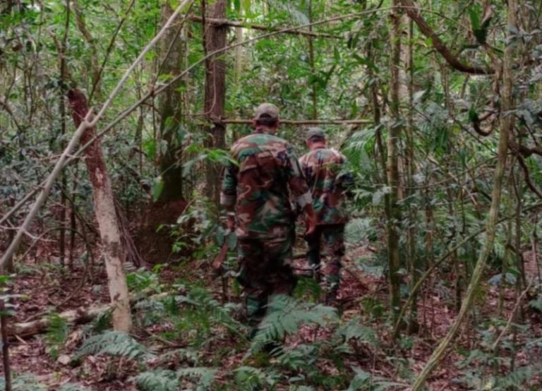 Detectaron rastros recientes de cazadores furtivos en Puerto Península imagen-5