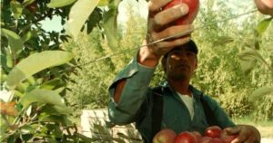 El gobernador de Río Negro se puso al frente del reclamo frutícola por un alivio impositivo imagen-1