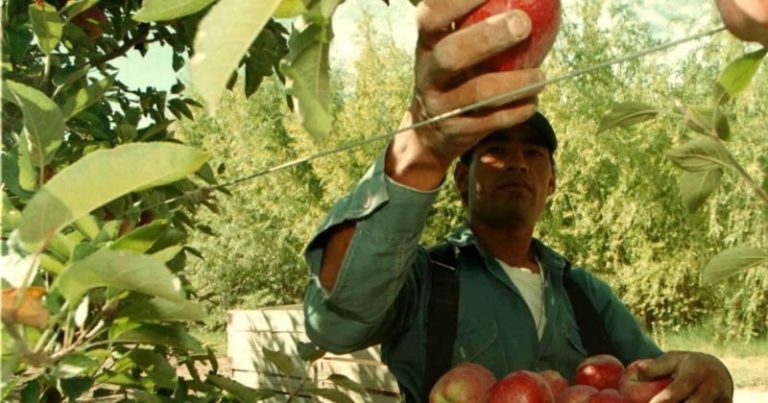 El gobernador de Río Negro se puso al frente del reclamo frutícola por un alivio impositivo imagen-4