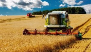 Alarma por una fuerte sequía en el campo que azota la zona agrícola central imagen-2