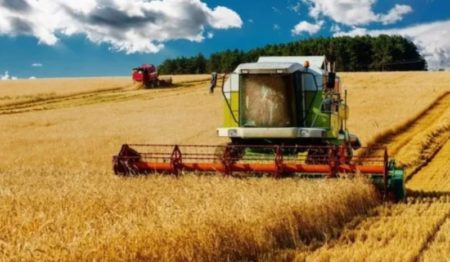 Alarma por una fuerte sequía en el campo que azota la zona agrícola central imagen-7