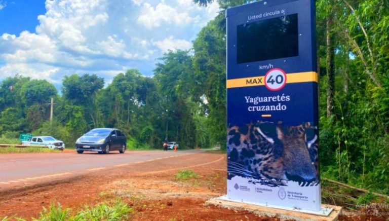 Instalan controles de velocidad en el Parque Nacional Iguazú para proteger la fauna imagen-5