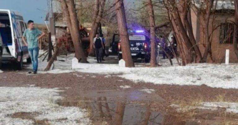 Tormenta con granizo, destrozos y tragedia en Mendoza: un hombre murió aplastado por un árbol imagen-4