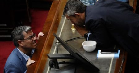 Ficha Limpia en Diputados: el tenso cruce entre Martín Menem y el jefe de la bancada K, que lo invitó a pelear imagen-10