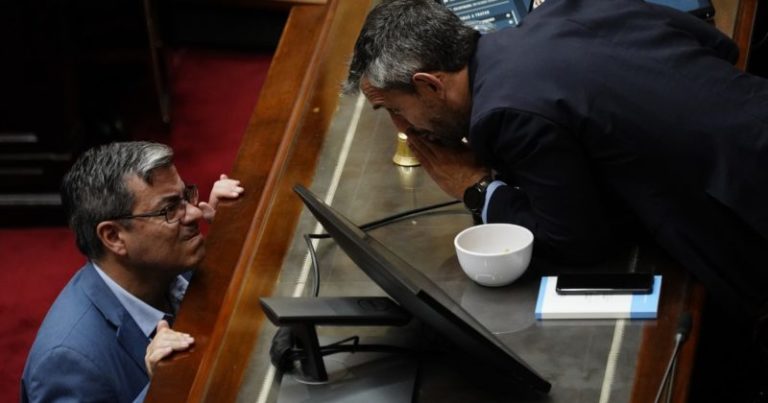 Ficha Limpia en Diputados: el tenso cruce entre Martín Menem y el jefe de la bancada K, que lo invitó a pelear imagen-5