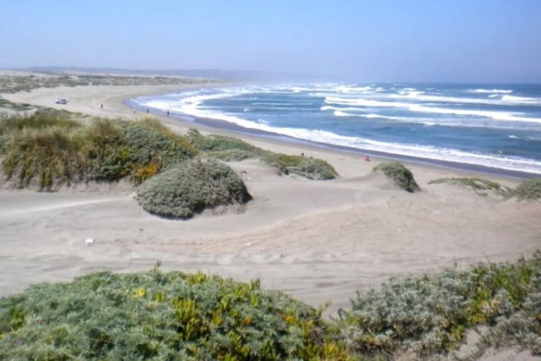 Una adolescente argentina de 14 años murió ahogada en una playa de Chile imagen-5