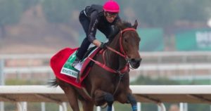 Saudi Cup 2025: la carrera de turf de los 20 millones de dólares en 2 minutos, con el caballo más ganador de la historia y la ilusión de dos representantes argentinos imagen-2