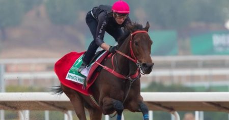 Saudi Cup 2025: la carrera de turf de los 20 millones de dólares en 2 minutos, con el caballo más ganador de la historia y la ilusión de dos representantes argentinos imagen-12