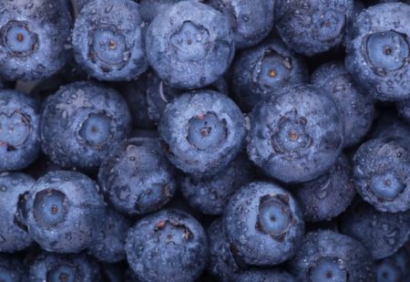 La fruta ideal para limpiar y depurar los riñones de forma natural: es pequeña, dulce y azul imagen-11