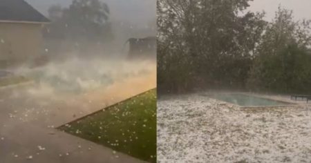 Impresionantes imágenes de la tormenta de granizo en Mar del Plata: autos destruidos, arboles caídos y más de 150 pedidos de ayuda imagen-15