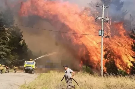 «La situación es desgarradora”, dijo el presidente del comité de Bomberos de El Bolsón imagen-8