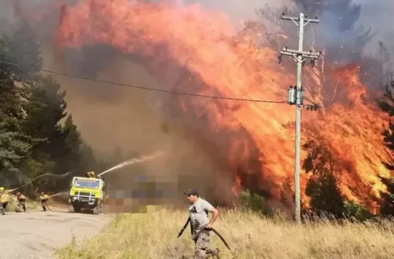 «La situación es desgarradora”, dijo el presidente del comité de Bomberos de El Bolsón imagen-78