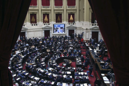 Sesión picante en Diputados con las PASO como tema central imagen-7