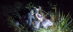 Arrojaron más de 340 kilos de marihuana desde una embarcación imagen-4