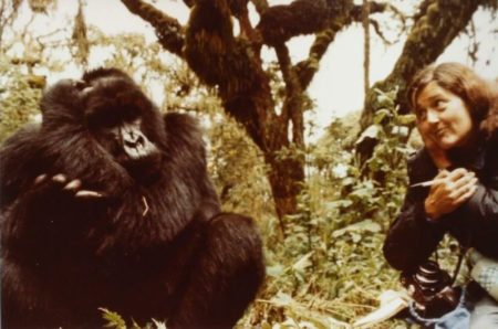 El crimen de Dian Fossey: 40 años de misterio y la historia real de “Gorilas en la niebla” imagen-11