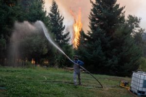 “Con urgencia”: fuerte respaldo del agro al proyecto del Gobierno para endurecer las penas por incendios intencionales imagen-4