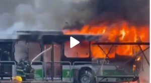 Una avioneta se estrelló contra un colectivo en una avenida de San Pablo: hay al menos dos muertos imagen-1