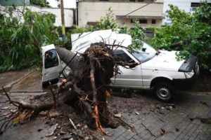 Las fotos del sorprendente temporal que azotó a Rosario: en una hora llovió lo que llueve en un mes imagen-1