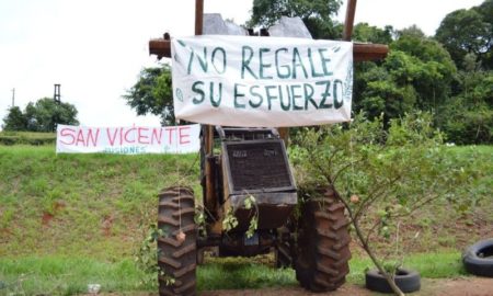 Yerbateros: “La industria se dio cuenta de que eliminar el Inym fue un error” imagen-80