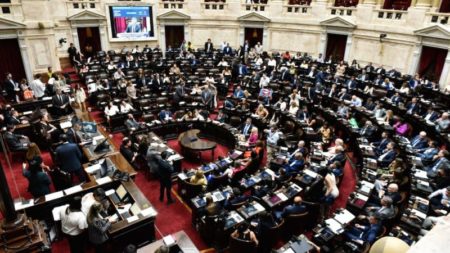 Diputados buscará obtener media sanción a Ficha Limpia imagen-9