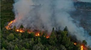 Incendio en El Bolsón: continúa el trabajo de los brigadistas ante el rápido avance del fuego imagen-4