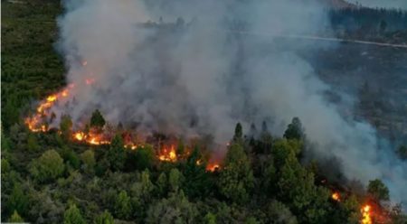 Incendio en El Bolsón: continúa el trabajo de los brigadistas ante el rápido avance del fuego imagen-9