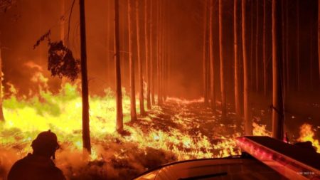 Corrientes arde: temen un escenario igual o peor a la temporada 2021-2022 imagen-8