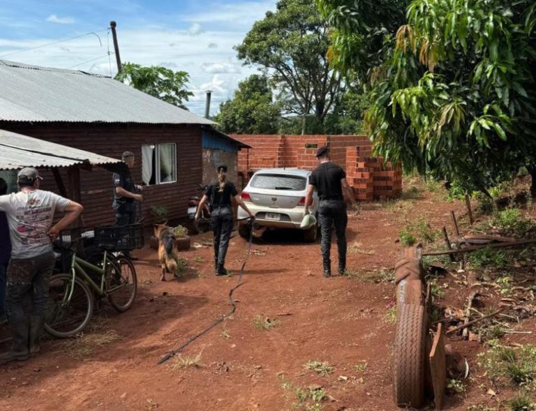 Con drones y perros adiestrados, sigue la búsqueda de un hombre desaparecido en Piñalito Norte imagen-5