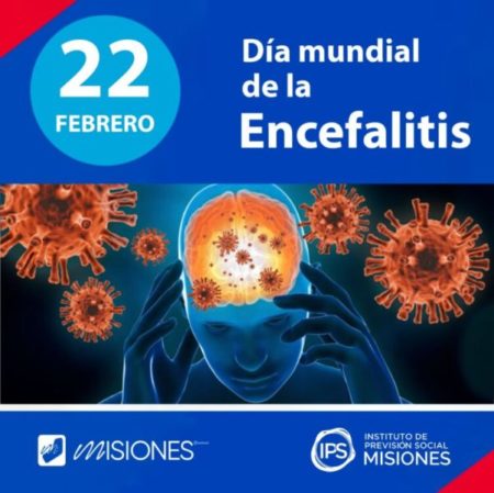 📒🌻22 de febrero: Conmemoramos el Día Mundial de la Encefalitis🧠 imagen-83