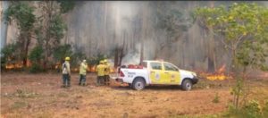 Incendios forestales en Corrientes: al menos tres localidades con focos activos y una persona fallecida imagen-2