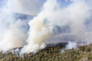 Incendios en El Bolsón: impresionante operativo para combatir el fuego, que está fuera de control imagen-1