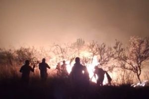 “Se repitió la historia”: se quemaron más de 25.000 hectáreas en una zona de Corrientes y acecha el recuerdo de un terrible año imagen-2