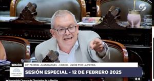 "¿Qué loco? ¡Pelotudo!", gritos e insultos entre un diputado kirchnerista y un aliado de Javier Milei por Ficha Limpia imagen-2