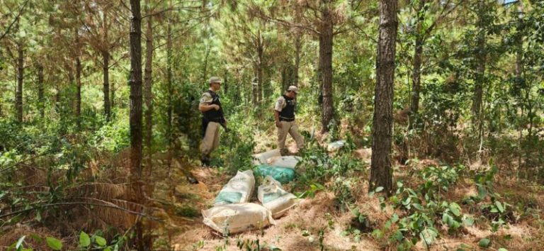 Prefectura Naval Argentina incautó más de 115 kilos de marihuana en Misiones durante un operativo en la frontera fluvial con Paraguay imagen-4