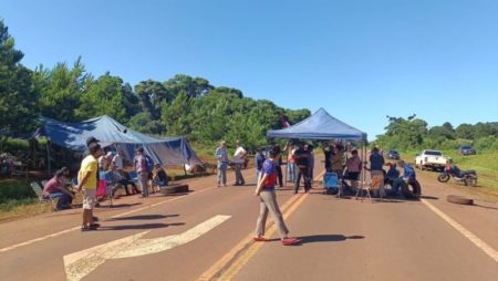 Productores yerbateros de San Pedro defienden el paro de cosecha imagen-17