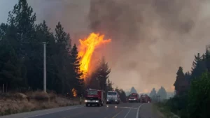 Incendios forestales en Río Negro: “El escenario es apocalíptico” imagen-3