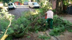 Respuesta del municipio tras el temporal: limpieza, prevención y colaboración vecinal imagen-3