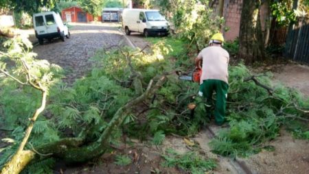 Respuesta del municipio tras el temporal: limpieza, prevención y colaboración vecinal imagen-18