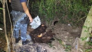 Robo de cables en Iguazú afectó a 25 mil usuarios que estuvieron sin servicio eléctrico imagen-4