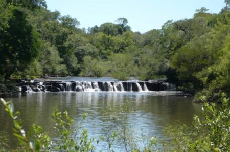 Ruiz de Montoya impulsa sus atractivos naturales a través de “Vivir Misiones” imagen-13