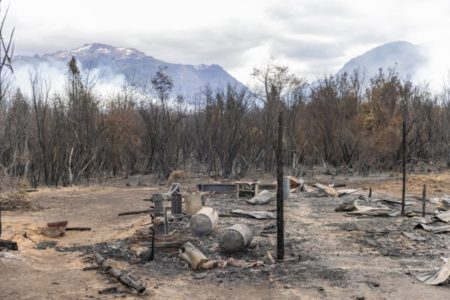 Incendios en el sur: tragedias evitables imagen-8