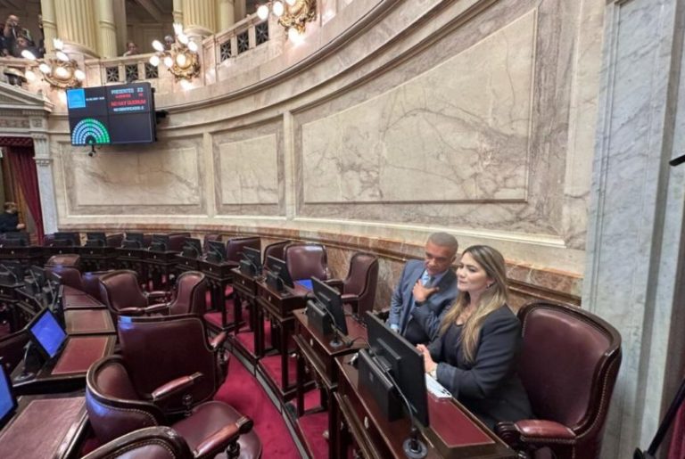 Senado: la Renovación mantuvo la institucionalidad imagen-5