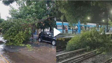 Árboles caídos, techos volados y cortes de luz por el feroz temporal en Buenos Aires imagen-9