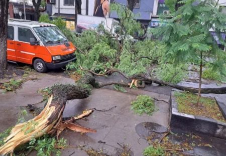 Más de 250.000 usuarios se encuentran sin luz tras un temporal en AMBA imagen-9