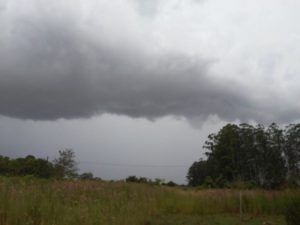 Tormentas aisladas traerán alivio temporario, pero el calor continuará este jueves imagen-1