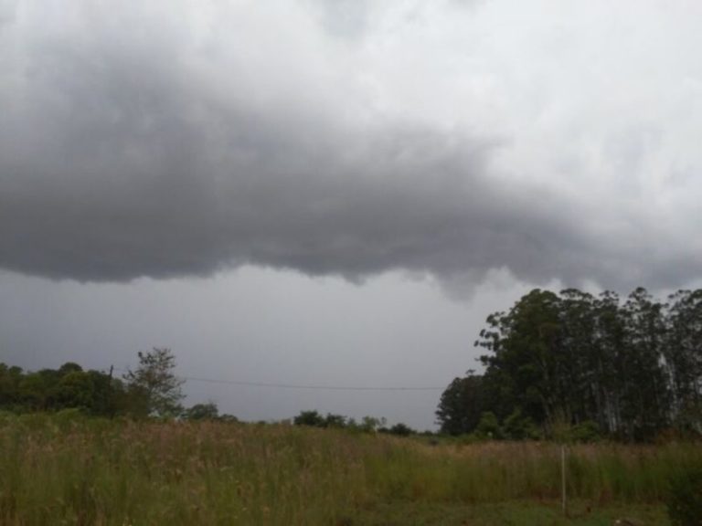 Tormentas aisladas traerán alivio temporario, pero el calor continuará este jueves imagen-5