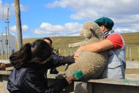 Aprender en el fin del mundo: una escuela agraria hace historia con una enseñanza única para decenas de jóvenes imagen-15