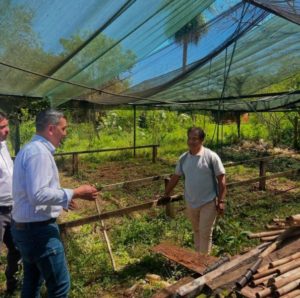 Viveros en comunidades Mbyá Guaraní para fortalecer el turismo comunitario imagen-2